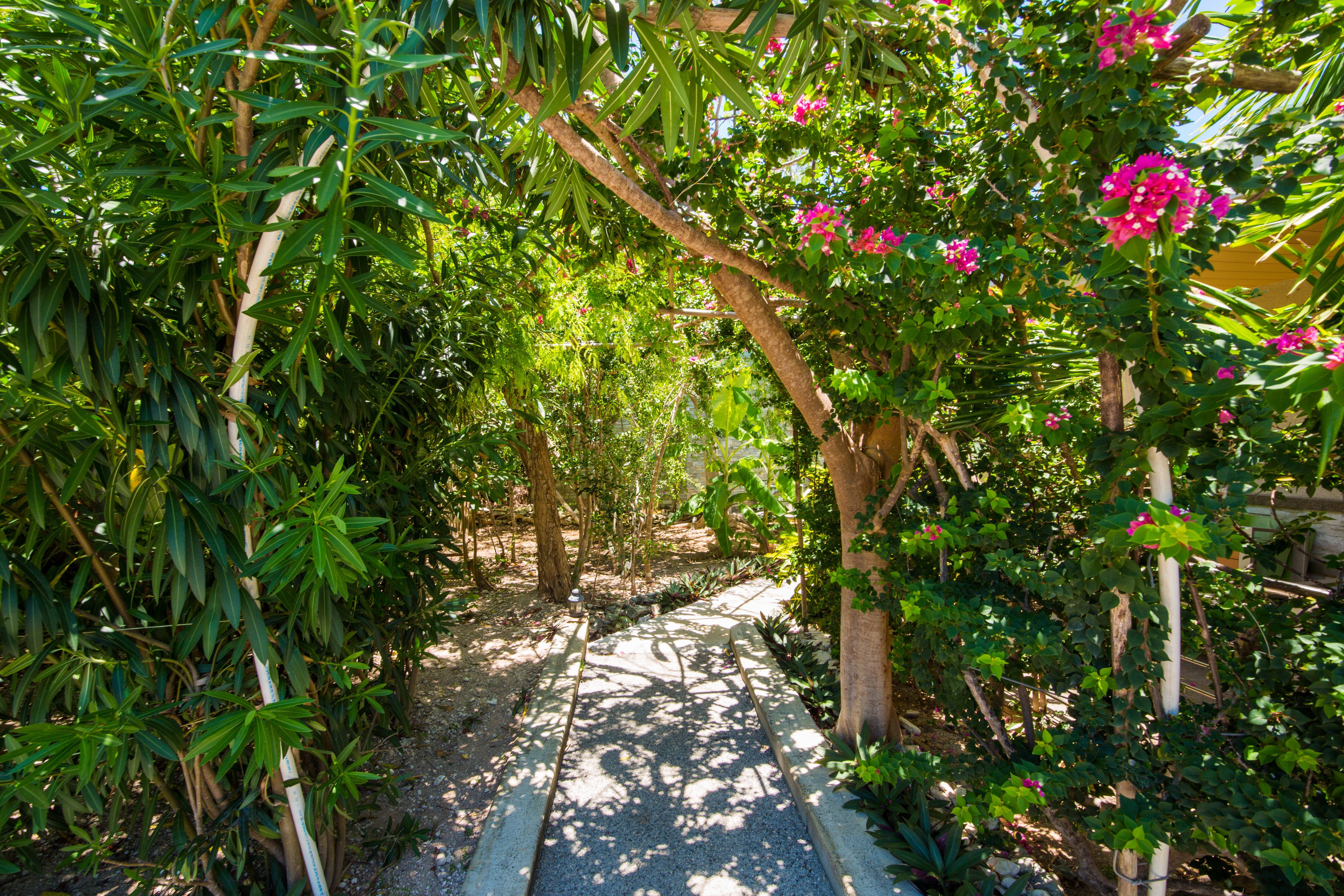 One On Marlin Resort (Adults Only) Turtle Cove Buitenkant foto